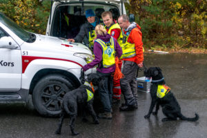 Bilde for Røde Kors Grimstad - Fotograf Tonje Jakobsen